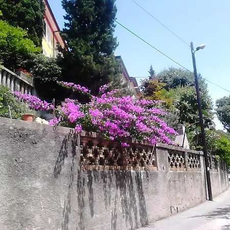 Sarah Gostinjska kuća Rijeka