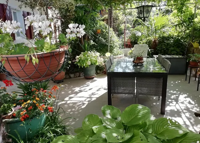 Sarah Гостевой дом 3*